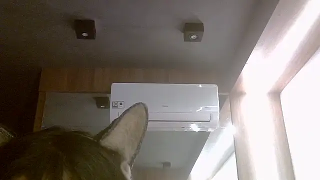 Skinny-Kitten online show from July 7, 2026, 7:39 pm