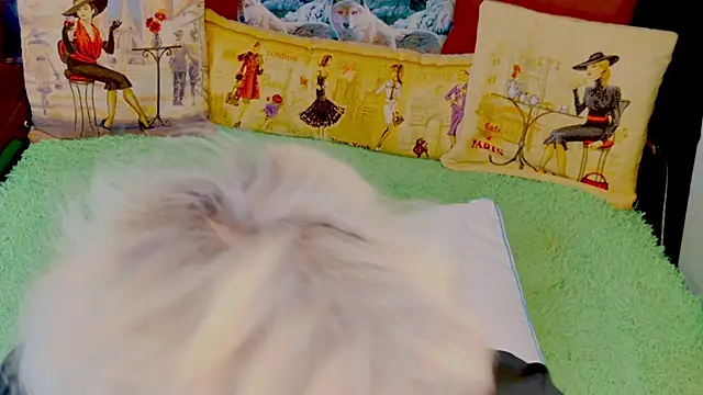 Snapshot of stiphlermom chatting on November 29, 2025, 3:34 pm stiphlermom online show from November 29, 2025, 3:34 pm