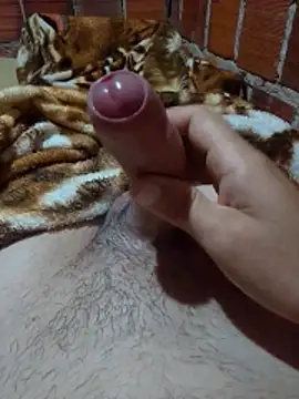 Snapshot of w31 chatting on March 14, 2026, 2:28 am w31 online show from March 14, 2026, 2:28 am