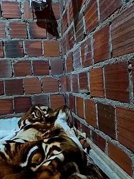 Snapshot of w31 chatting on April 16, 2026, 2:45 am w31 online show from April 16, 2026, 2:45 am