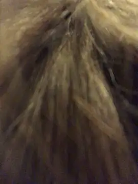 Snapshot of _Sweet_Love_ chatting on March 29, 2026, 1:02 pm Sweet Love online show from March 29, 2026, 1:02 pm