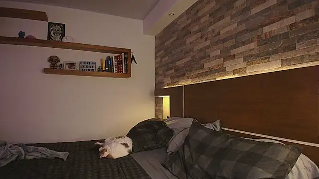 Snapshot of alicewilloww chatting on March 18, 2026, 10:21 pm alicewilloww online show from March 18, 2026, 10:21 pm