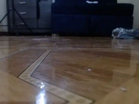 alphaswitchard online show from April 16, 2026, 4:19 pm