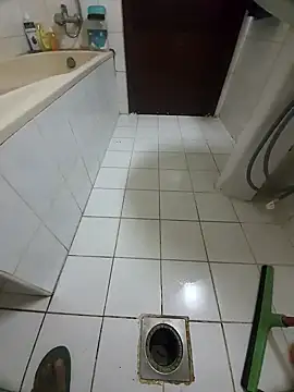 Snapshot of dream_catcher chatting on January 2, 2025, 5:39 pm dream catcher online show from January 2, 2025, 5:39 pm