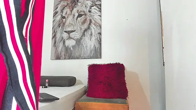  Bbc master  online show from November 20, 2025, 2:45 am