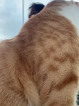 GigiiStone online show from March 16, 2025, 10:20 pm