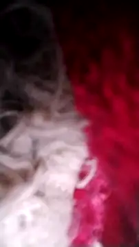 Snapshot of Bigcockmexi13 chatting on October 12, 2025, 3:13 pm Bigcockmexi13 online show from October 12, 2025, 3:13 pm