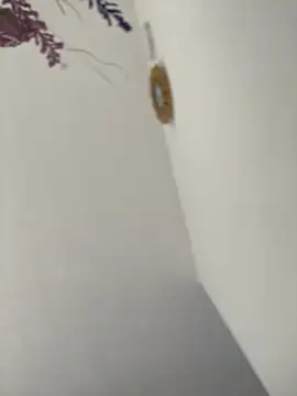 Alicia Ruiz online show from February 23, 2026, 6:08 pm