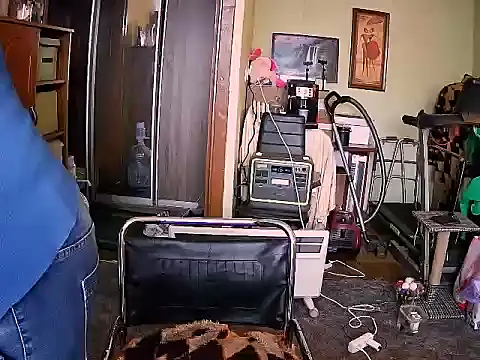 LOLA8888 online show from November 13, 2025, 12:31 pm