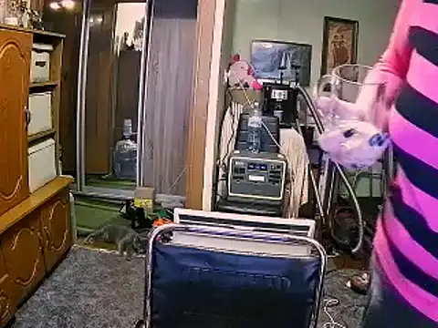 LOLA8888 online show from December 4, 2025, 12:04 pm