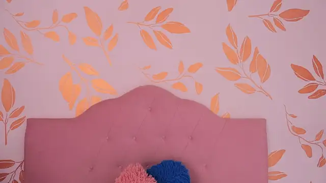 Snapshot of alix_bay chatting on April 9, 2026, 8:04 pm alix bay online show from April 9, 2026, 8:04 pm