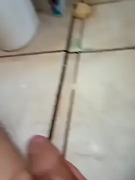 pirucudo17 online show from November 8, 2025, 11:36 am