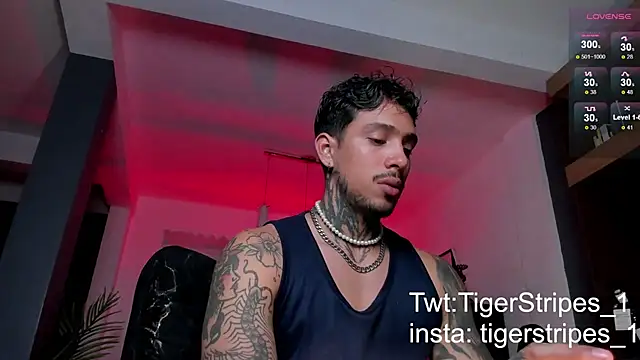 TigerStripes1  online show from February 9, 2025, 5:40 am