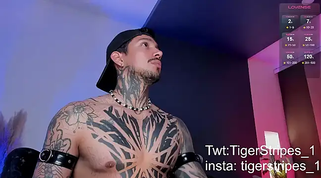 TigerStripes1  online show from March 16, 2025, 12:56 am