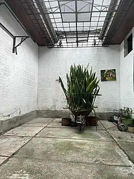 oliver price1 online show from January 10, 2026, 8:26 pm